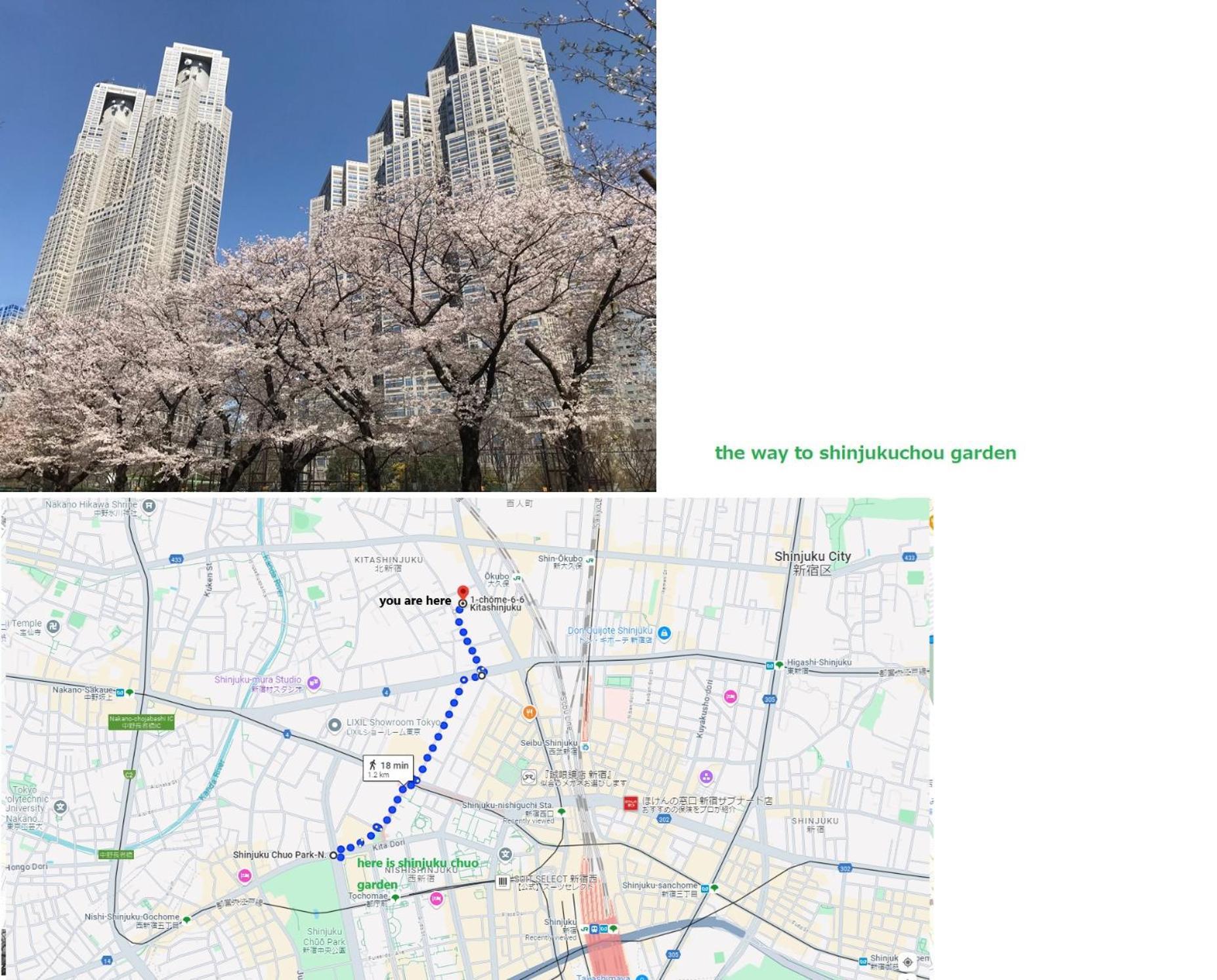 大久保駅から４分、貸切、韓国ダウン至近、新宿/歌舞伎町に徒歩圏内 、단독사용민박 Tokió Kültér fotó
